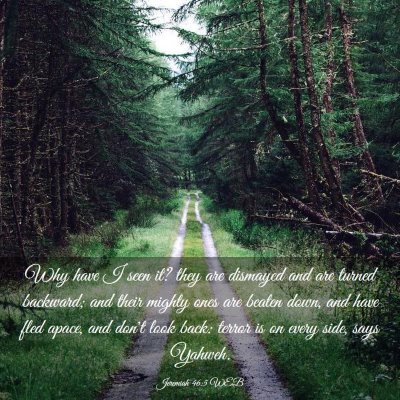 Picture 03 - Jeremiah 46:5 WEB - Why have I seen it? they are dismayed and are - Bible Verse Picture