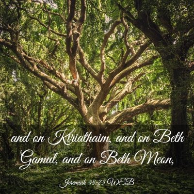 Picture 03 - Jeremiah 48:23 WEB - and on Kiriathaim, and on Beth Gamul, and on Beth - Bible Verse Picture