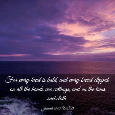 Picture 03 - Jeremiah 48:37 WEB - For every head is bald, and every beard clipped: - Bible Verse Picture