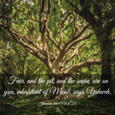 Picture 03 - Jeremiah 48:43 WEB - Fear, and the pit, and the snare, are on you, - Bible Verse Picture