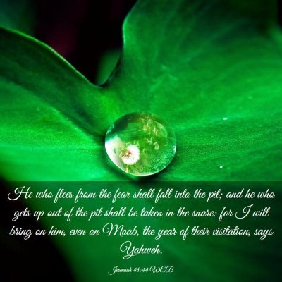 Picture 03 - Jeremiah 48:44 WEB - He who flees from the fear shall fall into the - Bible Verse Picture
