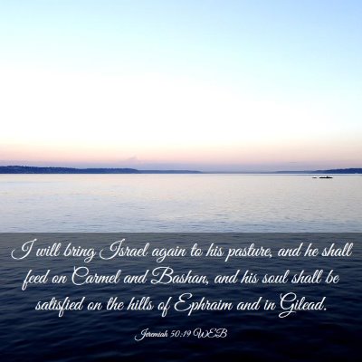 Picture 03 - Jeremiah 50:19 WEB - I will bring Israel again to his pasture, and he - Bible Verse Picture