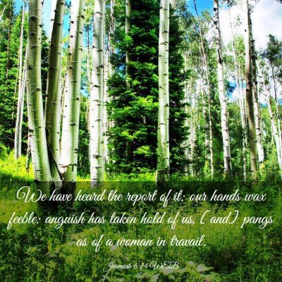 Picture 03 - Jeremiah 6:24 WEB - We have heard the report of it; our hands wax - Bible Verse Picture