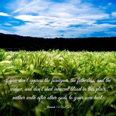 Picture 03 - Jeremiah 7:6 WEB - if you don't oppress the foreigner, the - Bible Verse Picture