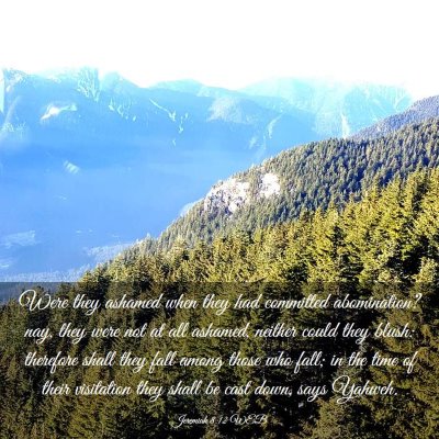 Picture 03 - Jeremiah 8:12 WEB - Were they ashamed when they had committed - Bible Verse Picture