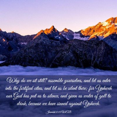 Picture 03 - Jeremiah 8:14 WEB - Why do we sit still? assemble yourselves, and let - Bible Verse Picture
