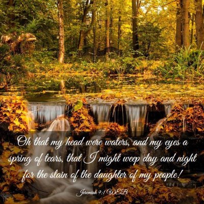 Picture 03 - Jeremiah 9:1 WEB - Oh that my head were waters, and my eyes a spring - Bible Verse Picture