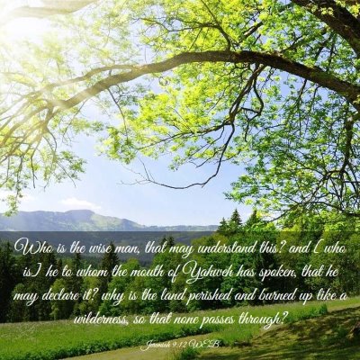 Picture 03 - Jeremiah 9:12 WEB - Who is the wise man, that may understand this? - Bible Verse Picture