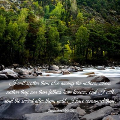 Picture 03 - Jeremiah 9:16 WEB - I will scatter them also among the nations, whom - Bible Verse Picture