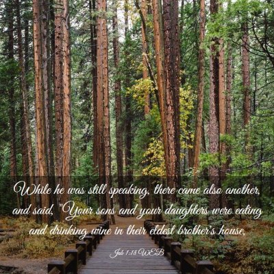 Picture 03 - Job 1:18 WEB - While he was still speaking, there came also - Bible Verse Picture