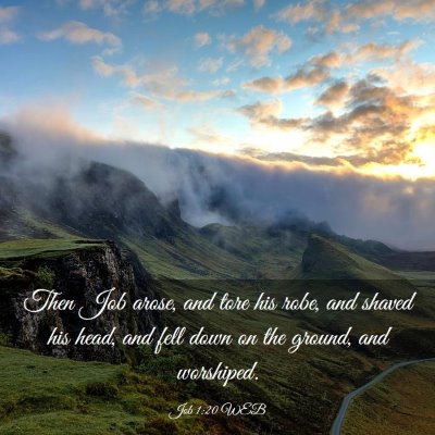 Picture 03 - Job 1:20 WEB - Then Job arose, and tore his robe, and shaved his - Bible Verse Picture