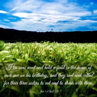 Picture 03 - Job 1:4 WEB - His sons went and held a feast in the house of - Bible Verse Picture