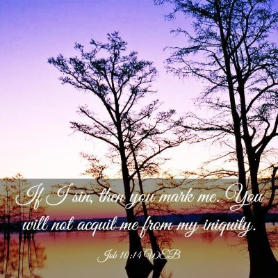 Picture 03 - Job 10:14 WEB - If I sin, then you mark me. You will not acquit - Bible Verse Picture