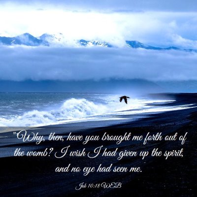 Picture 03 - Job 10:18 WEB - 