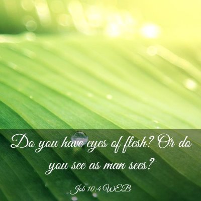Picture 03 - Job 10:4 WEB - Do you have eyes of flesh? Or do you see as man - Bible Verse Picture