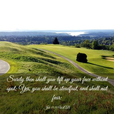 Picture 03 - Job 11:15 WEB - Surely then shall you lift up your face without - Bible Verse Picture