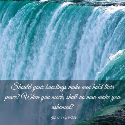 Picture 03 - Job 11:3 WEB - Should your boastings make men hold their peace? - Bible Verse Picture