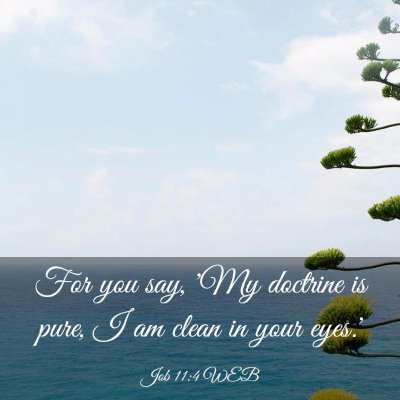 Picture 03 - Job 11:4 WEB - For you say, 'My doctrine is pure, I am clean in - Bible Verse Picture
