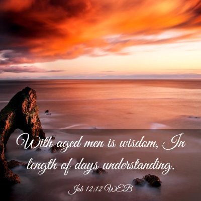 Picture 03 - Job 12:12 WEB - With aged men is wisdom, In length of days - Bible Verse Picture