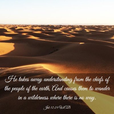Picture 03 - Job 12:24 WEB - He takes away understanding from the chiefs of - Bible Verse Picture