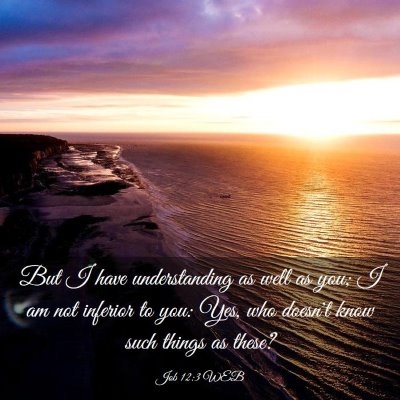 Picture 03 - Job 12:3 WEB - But I have understanding as well as you; I am not - Bible Verse Picture