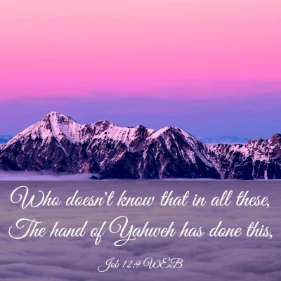 Picture 03 - Job 12:9 WEB - Who doesn't know that in all these, The hand of - Bible Verse Picture