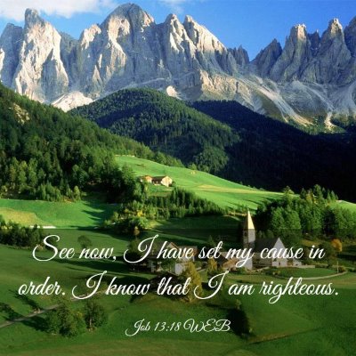 Picture 03 - Job 13:18 WEB - See now, I have set my cause in order. I know - Bible Verse Picture