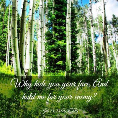 Picture 03 - Job 13:24 WEB - Why hide you your face, And hold me for your - Bible Verse Picture