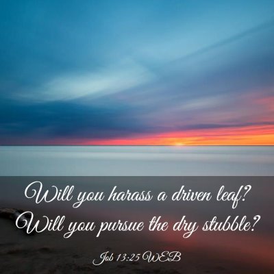 Picture 03 - Job 13:25 WEB - Will you harass a driven leaf? Will you pursue - Bible Verse Picture