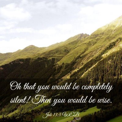 Picture 03 - Job 13:5 WEB - Oh that you would be completely silent! Then you - Bible Verse Picture