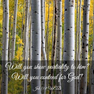 Picture 03 - Job 13:8 WEB - Will you show partiality to him? Will you contend - Bible Verse Picture