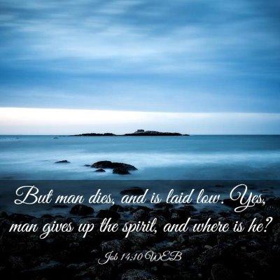 Picture 03 - Job 14:10 WEB - But man dies, and is laid low. Yes, man gives up - Bible Verse Picture
