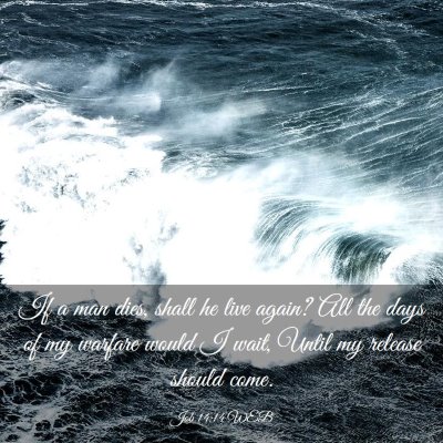 Picture 03 - Job 14:14 WEB - If a man dies, shall he live again? All the days - Bible Verse Picture