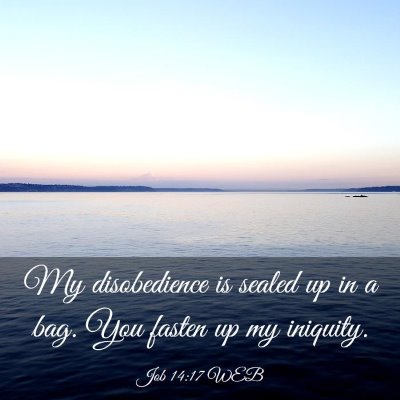 Picture 03 - Job 14:17 WEB - My disobedience is sealed up in a bag. You fasten - Bible Verse Picture