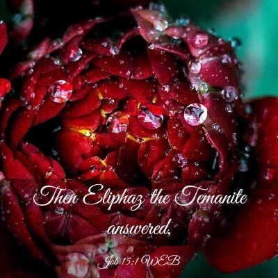Picture 03 - Job 15:1 WEB - Then Eliphaz the Temanite - Bible Verse Picture