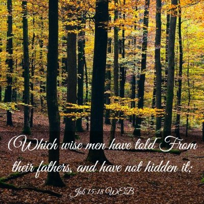 Picture 03 - Job 15:18 WEB - (Which wise men have told From their fathers, and - Bible Verse Picture
