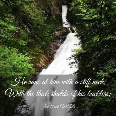 Picture 03 - Job 15:26 WEB - He runs at him with a stiff neck, With the thick - Bible Verse Picture