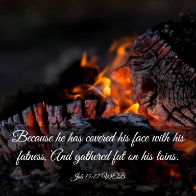 Picture 03 - Job 15:27 WEB - Because he has covered his face with his fatness, - Bible Verse Picture