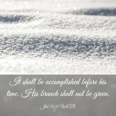 Picture 03 - Job 15:32 WEB - It shall be accomplished before his time. His - Bible Verse Picture