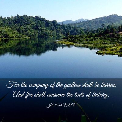Picture 03 - Job 15:34 WEB - For the company of the godless shall be barren, - Bible Verse Picture