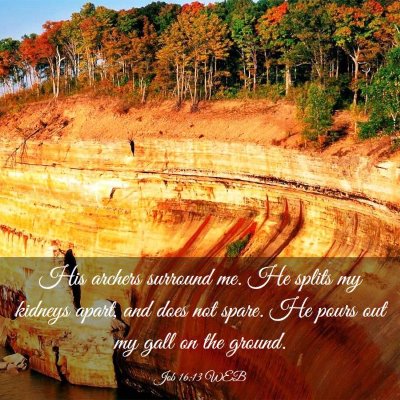Picture 03 - Job 16:13 WEB - His archers surround me. He splits my kidneys - Bible Verse Picture