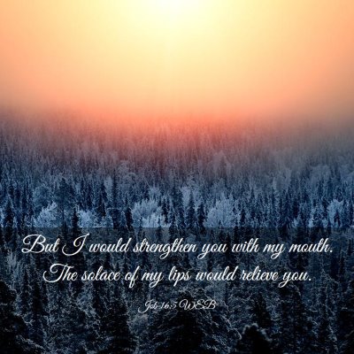 Picture 03 - Job 16:5 WEB - But I would strengthen you with my mouth. The - Bible Verse Picture