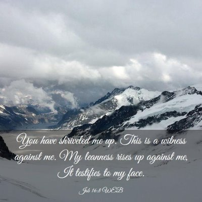 Picture 03 - Job 16:8 WEB - You have shriveled me up. This is a witness - Bible Verse Picture