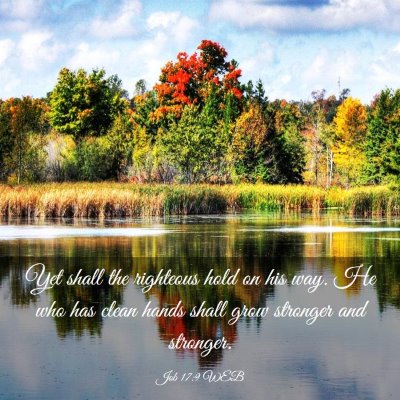 Picture 03 - Job 17:9 WEB - Yet shall the righteous hold on his way. He who - Bible Verse Picture