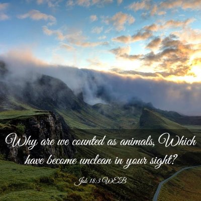 Picture 03 - Job 18:3 WEB - Why are we counted as animals, Which have become - Bible Verse Picture