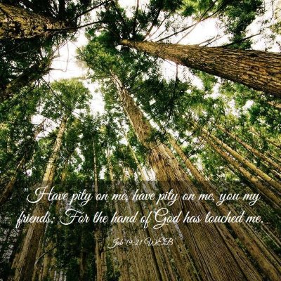 Picture 03 - Job 19:21 WEB - 