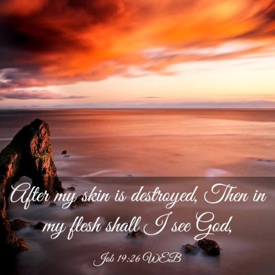 Picture 03 - Job 19:26 WEB - After my skin is destroyed, Then in my flesh - Bible Verse Picture