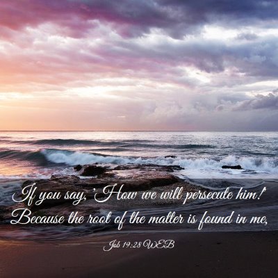 Picture 03 - Job 19:28 WEB - If you say, 'How we will persecute him!' Because - Bible Verse Picture