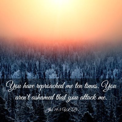 Picture 03 - Job 19:3 WEB - You have reproached me ten times. You aren't - Bible Verse Picture