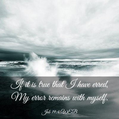 Picture 03 - Job 19:4 WEB - If it is true that I have erred, My error remains - Bible Verse Picture